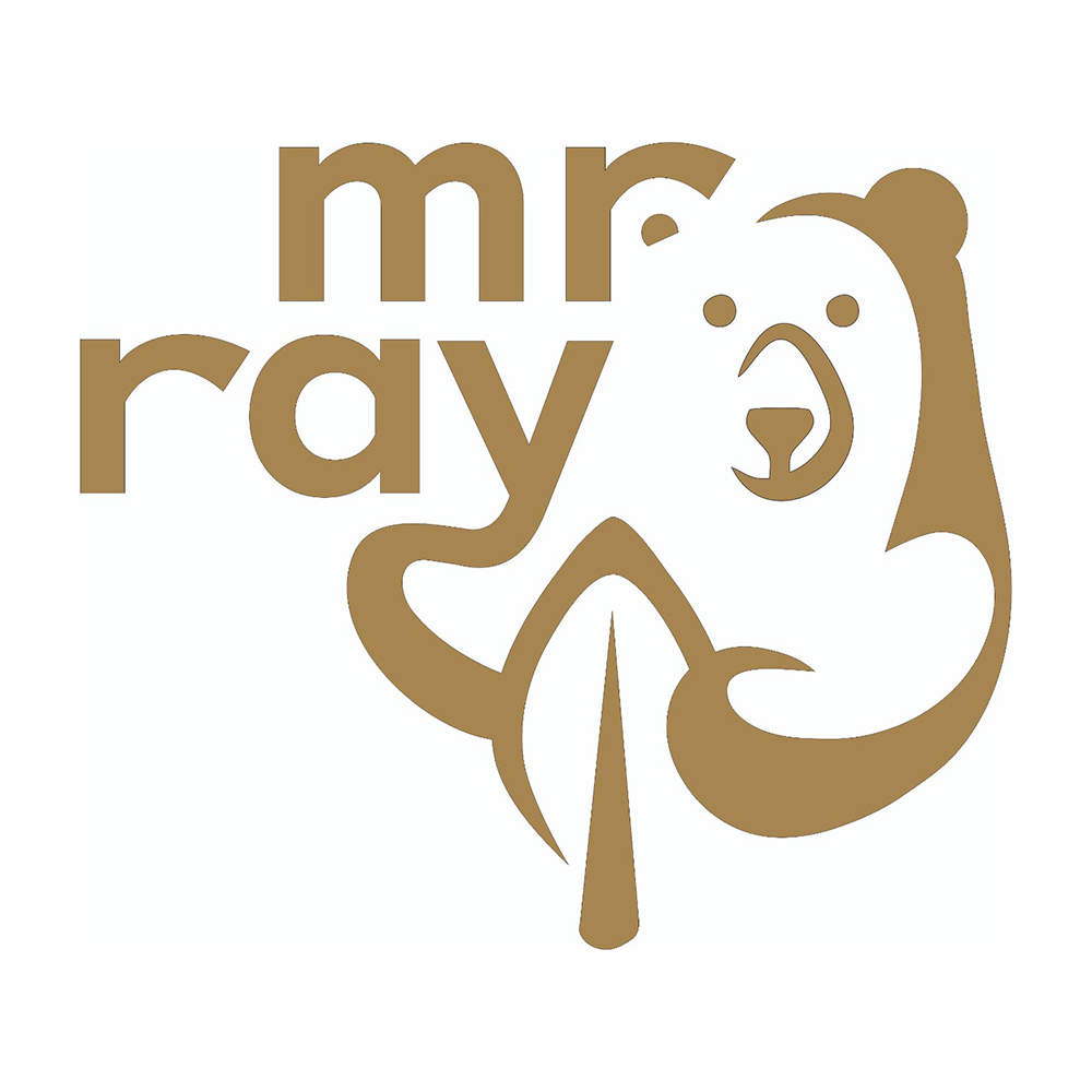 Mr ray