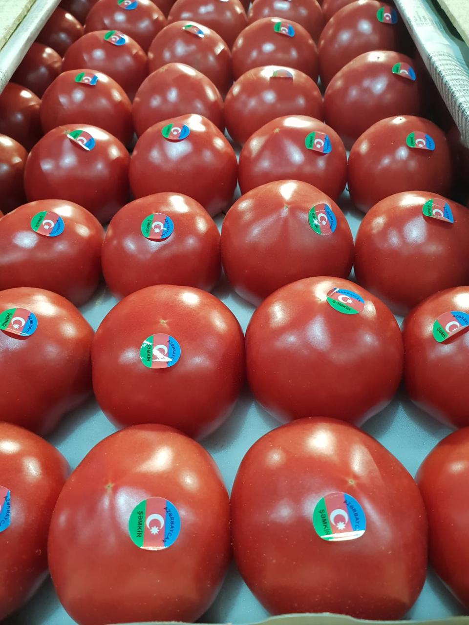томаты зира азербайджан
